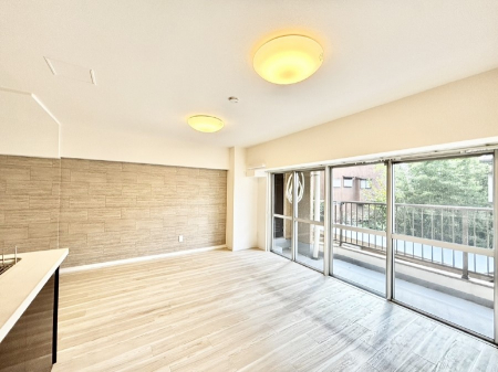 rO@傫ȑ炽Ղ̗zƕ郊rO  