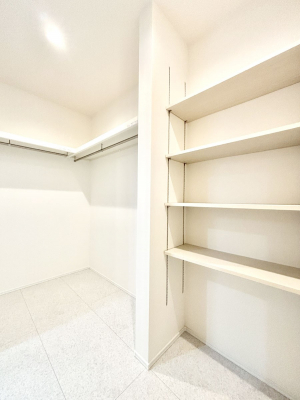 ̑ρ@֗ȃlɂŁAXbLg₷ʎ  