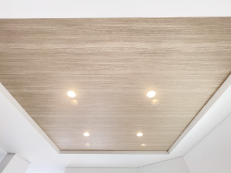 rO@܏V͗̓IȉŝŁAV䂪LĊJIȋԂoł܂B