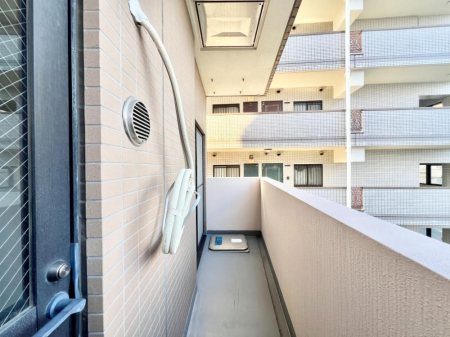 oRj[@Sn悢Ȃ炨󕨂ł