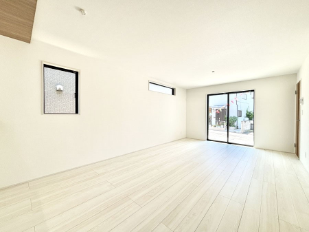 rO@傫ȑ炽Ղ̗zƕ郊rO  