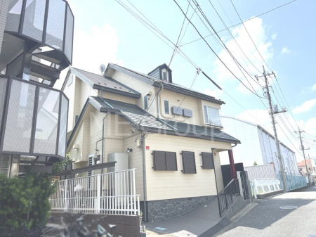 nynʐ^@Ƒ̎voށAprʂȍLX~n  