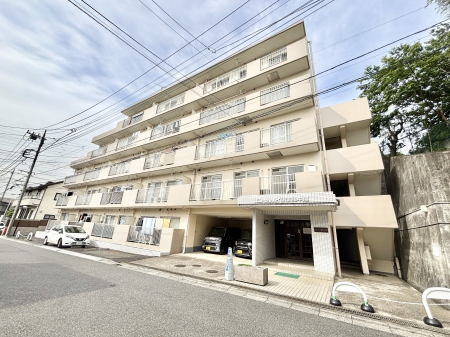 nOώʐ^@Ƃ肪Ί𐶂ސSn悢   