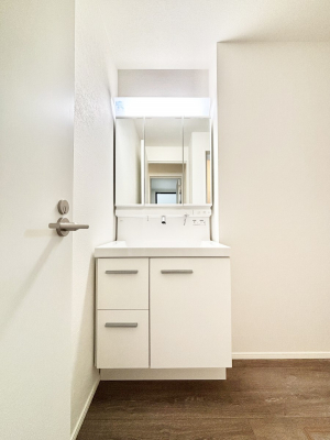 ʑEʏ@傫₷OʋŐʑ́AgȂ݃`FbN┧̂ɂ߂łB 