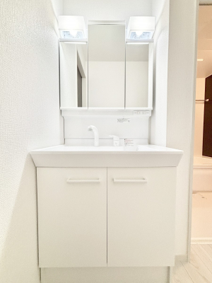 ʑEʏ@傫₷OʋŐʑ́AgȂ݃`FbN┧̂ɂ߂łB 