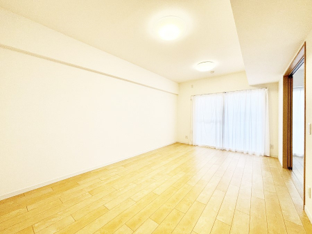 rO@傫ȑ炽Ղ̗zƕ郊rO