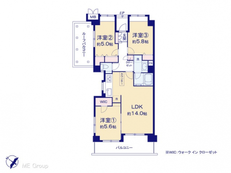 Ԏ}îP}Vj@}ʂƈقȂꍇ͌D