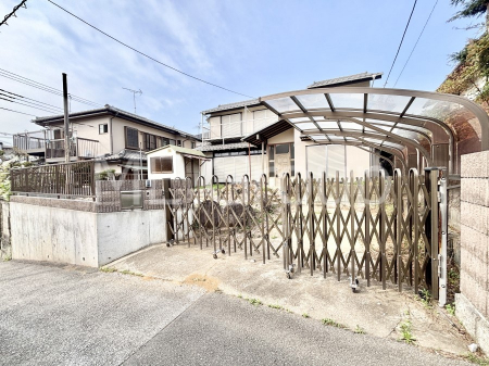 nOώʐ^@Ƃ肪Ί𐶂ސSn悢 