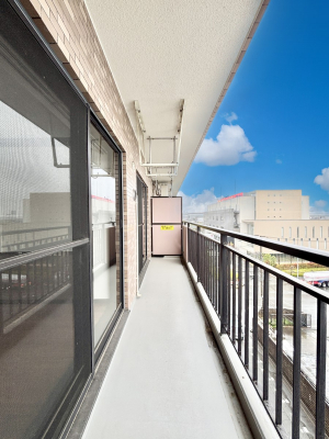 oRj[@Sn悢Ȃ炨󕨂ł