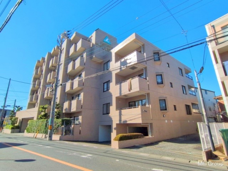 nOώʐ^@Ƃ肪Ί𐶂ސSn悢 