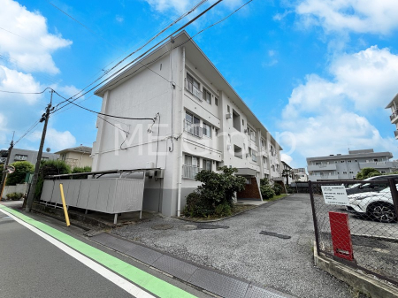 nOώʐ^@Ƃ肪Ί𐶂ސSn悢