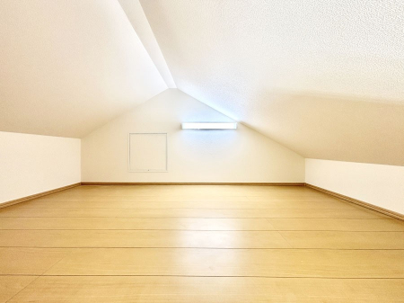 ̑ρ@[قɂACfAŉKԂɑϐgI  