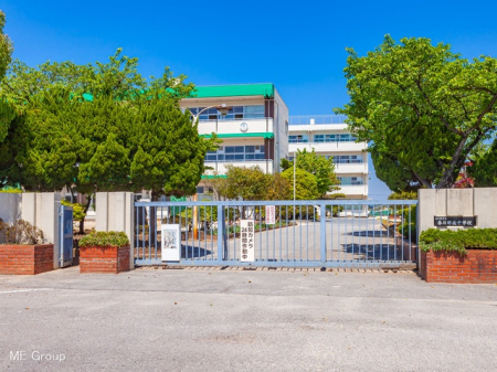 ӊ@wZ 800m tst쒆wZ