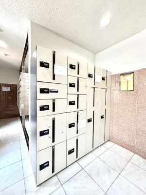 ̑@玞̂ו̎󂯎łz{bNXt