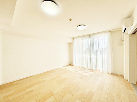 rO@傫ȑ炽Ղ̗zƕ郊rO