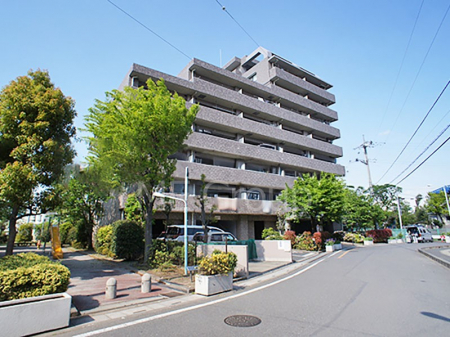 nOώʐ^@Ƃ肪Ί𐶂ސSn悢 