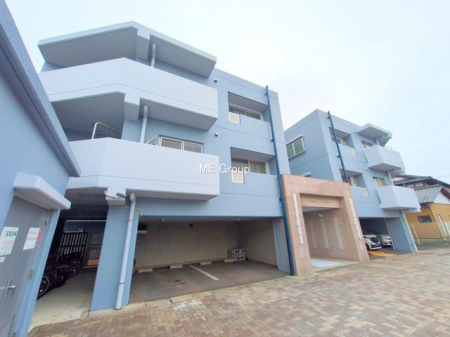 nOώʐ^@Ƃ肪Ί𐶂ސSn悢 