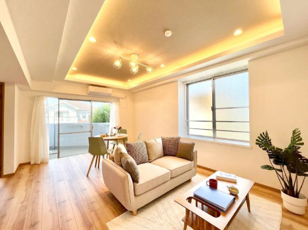 rO@傫ȑ炽Ղ̗zƕ郊rO  