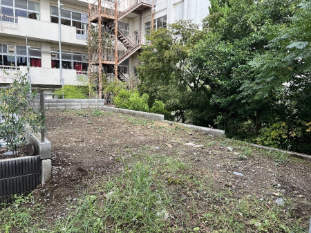 nynʐ^@ՐÂȏZX̌ẑȂynIuYavwkV̍Dnł