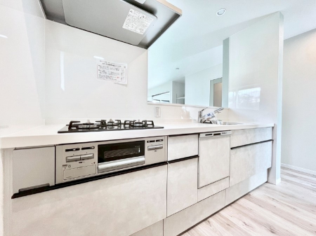 Lb`@H@E򐅊ERcRȂǃfUC@\˔VXeLb`I