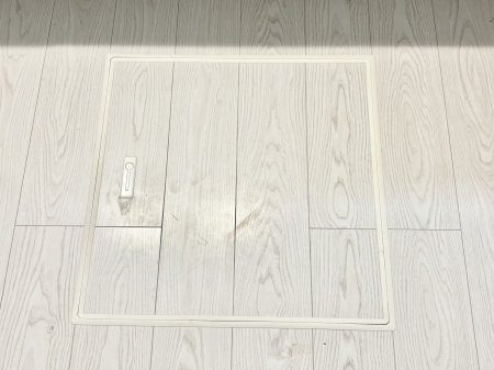 ̑ρ@[tIpiEpi̎[ɂ劈B