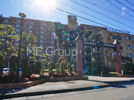 nOώʐ^@Ƃ肪Ί𐶂ސSn悢   