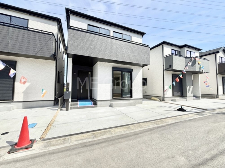 nOώʐ^@Ƃ肪Ί𐶂ސSn悢 