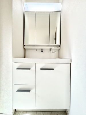 ʑEʏ@傫₷OʋŐʑ́AgȂ݃`FbN┧̂ɂ߂łB 