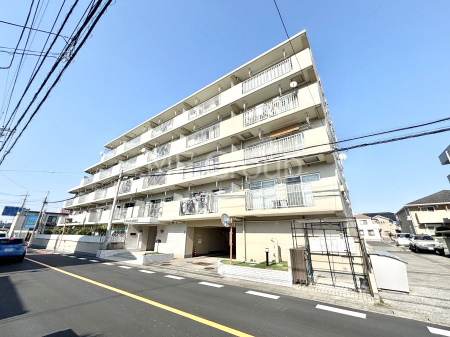 nOώʐ^@Ƃ肪Ί𐶂ސSn悢 