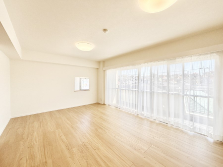 rO@傫ȑ炽Ղ̗zƕ郊rO