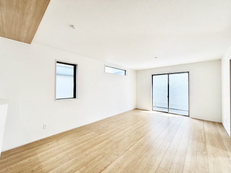 rO@傫ȑ炽Ղ̗zƕ郊rO  