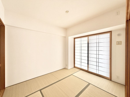 ̑ρ@̕炵ɖƈ炬炵Ăa