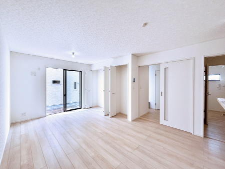 rO@傫ȑ炽Ղ̗zƕ郊rO