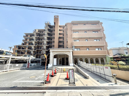 nOώʐ^@ziw@k13BƂ肪Ί𐶂ސSn悢B  