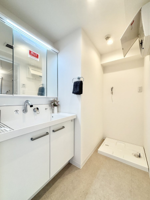 ʑEʏ@傫₷OʋŐʑ́AgȂ݃`FbN┧̂ɂ߂łB