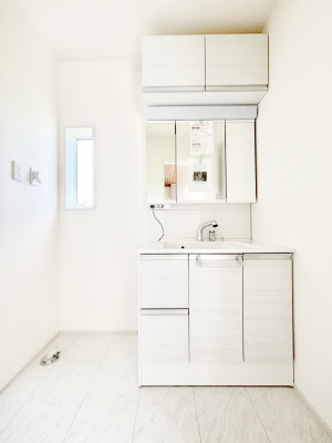 ʑEʏ@傫₷OʋŐʑ́AgȂ݃`FbN┧̂ɂ߂łB 