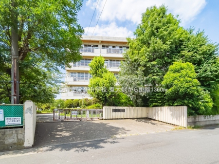 ӊ@wZ 1360m zJshiwZ