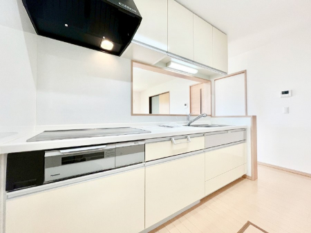 Lb`@VXeLb`̓VvŃXbLO̗ȂfUCȂ̂ŉig