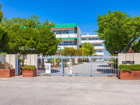 ӊ@wZ 890m tst쒆wZ