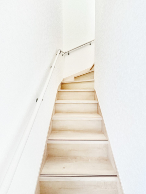 ̑@Ȃql₲Nz̕ɊzIKiɂ͎萠tłB