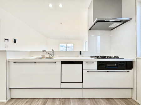 �L�b�`���@�J�E���^�[�z���ɂ��q�l���������̂���`���I�}�}���������ΖʃL�b�`���B 