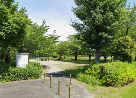 ���ӊ��@���� 190m ��v�쎙������