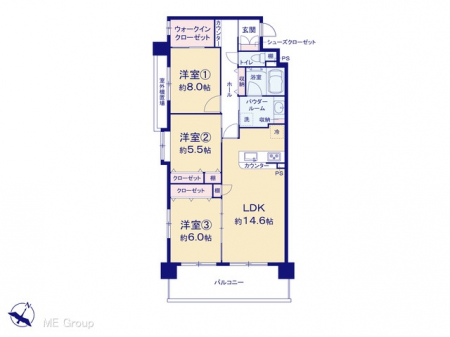 Ԏ}îP}Vj@}ʂƈقȂꍇ͌D