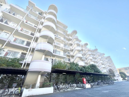 nOώʐ^@Ƃ肪Ί𐶂ސSn悢 