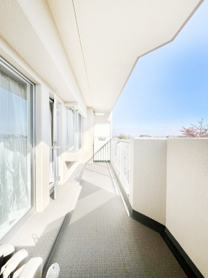 oRj[@Sn悢Ȃ炨󕨂ł