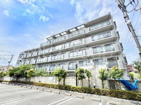 nOώʐ^@Ƃ肪Ί𐶂ސSn悢 