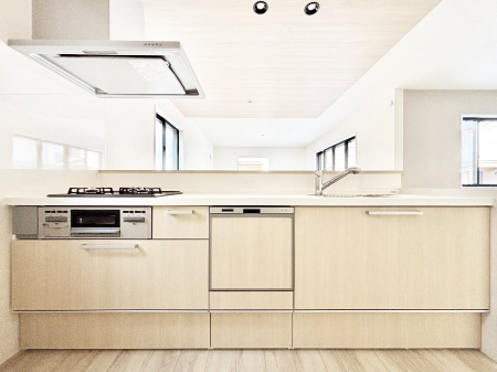 �L�b�`���@�J�E���^�[�z���Ɋy����������ׂ�B�����̂������������Ɣ��������Ȃ肻���ł���