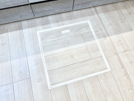 ���̑����ρ@�������[�t���I���p�i�E���p�i�̎��[�ɂ��劈��B