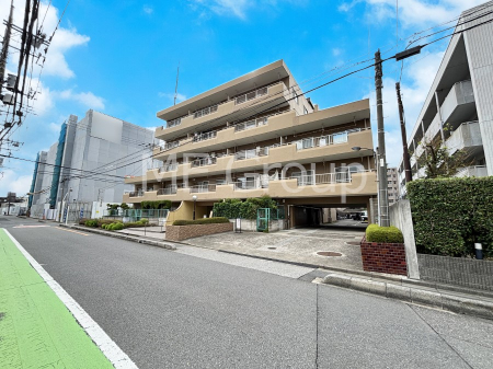 nOώʐ^@Ƃ肪Ί𐶂ސSn悢