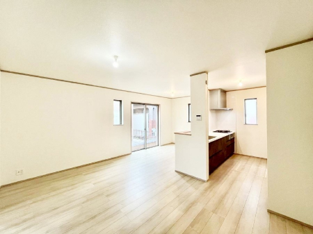 rO@傫ȑ炽Ղ̗zƕ郊rO